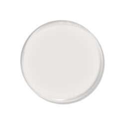 HEMA & TPO Free - Coconut Colada - 239