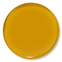 HEMA & TPO Free - Honey Mustard - 241